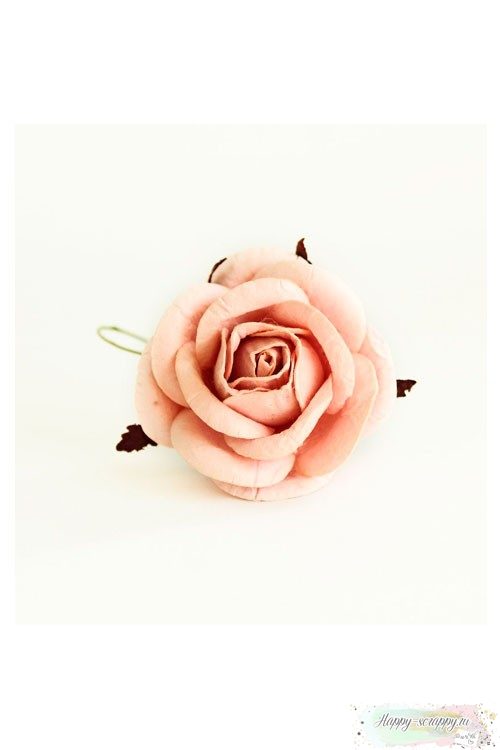 Роза розово-персиковая 5 см