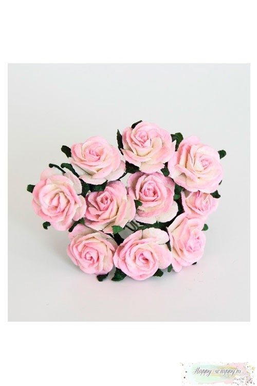 Розы бело-розовые (5 шт)