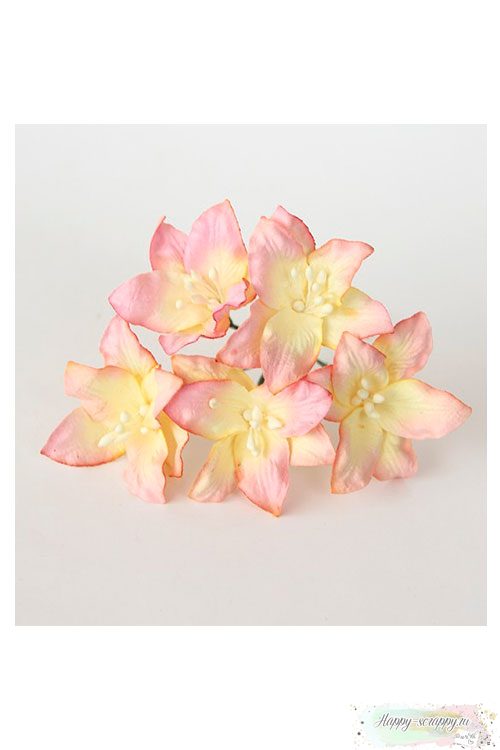 Лилия розово-желтая светлая №2 (1 шт)