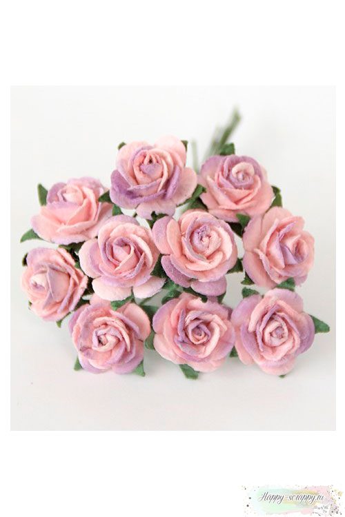 Розы сиренево-розовые (5 шт)