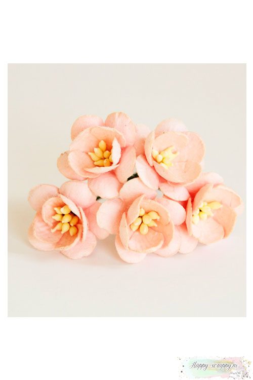 Цветы вишни светло-розовоперсиковые (5 шт)