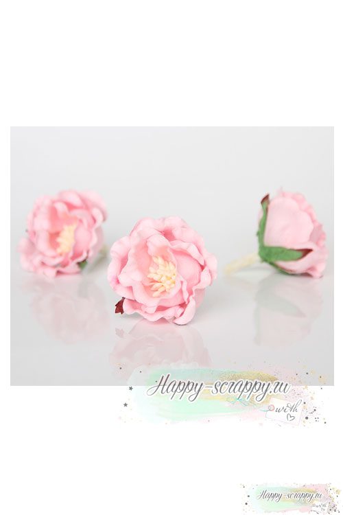Полиантовая роза светло-розовая (1 шт) .