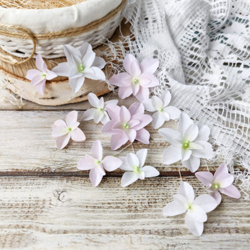Набор цветов Pastel flowers — Гортензии Дуболистные, бело-розовые