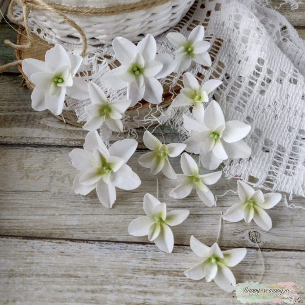 Набор цветов Pastel flowers — Гортензии Дуболистные, белые