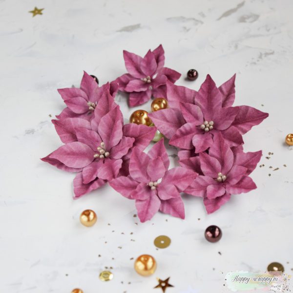 Набор цветов Pastel flowers — "Пуансетии" бордовые
